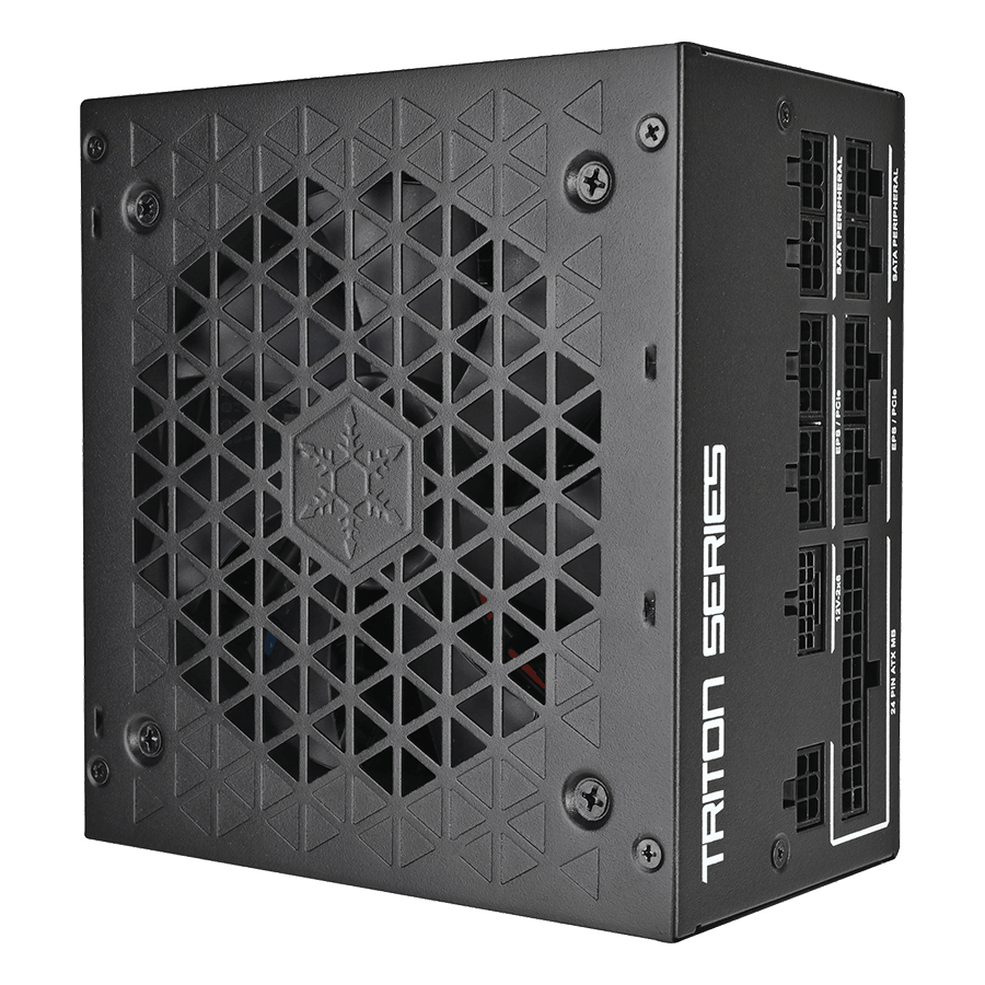 منبع تغذیه سیلوراستون Triton 1000Rz — نمای نزدیک 1
