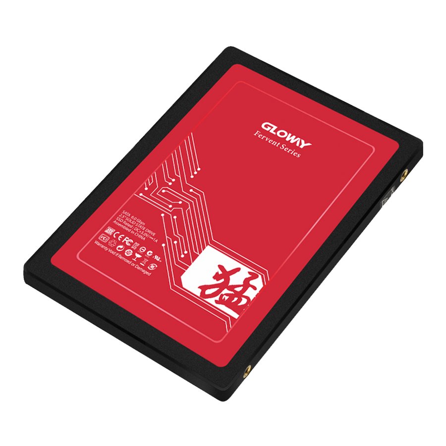 Gloway Fer Series 120 GB SATA SSD — Close-up 1
