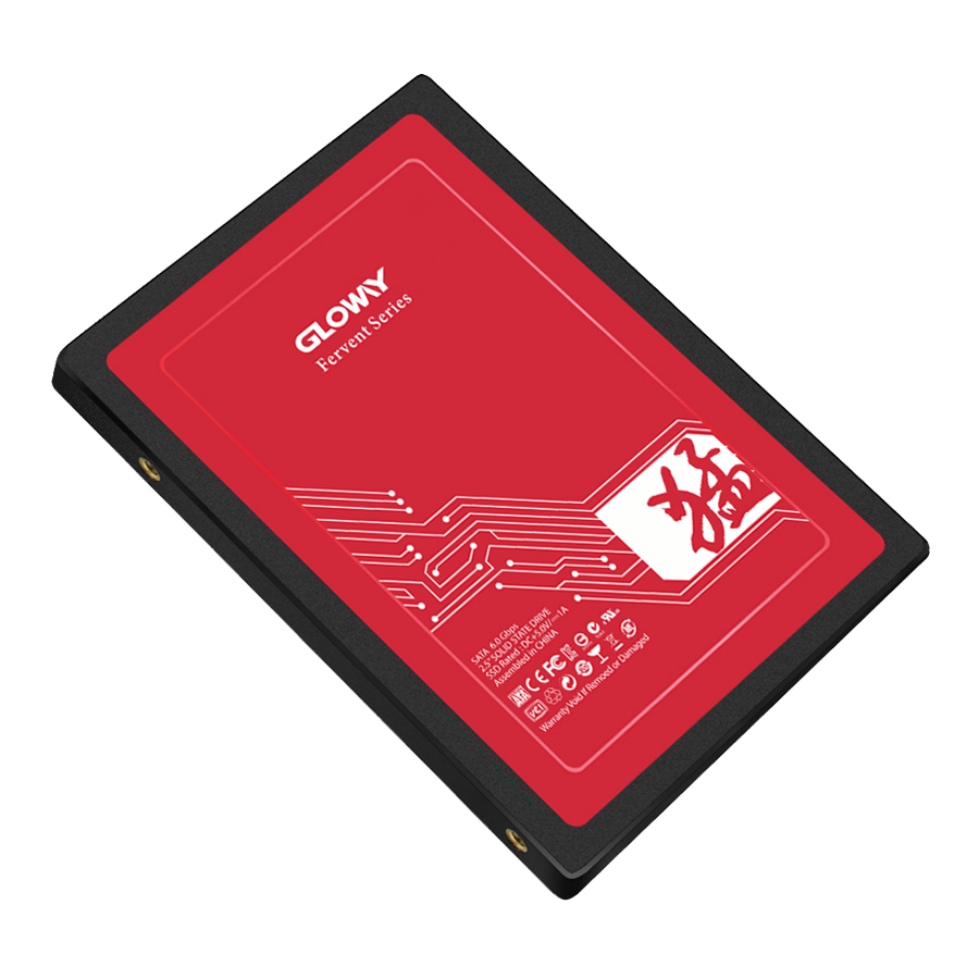 Gloway Fer Series 120 GB SATA SSD — Close-up 2