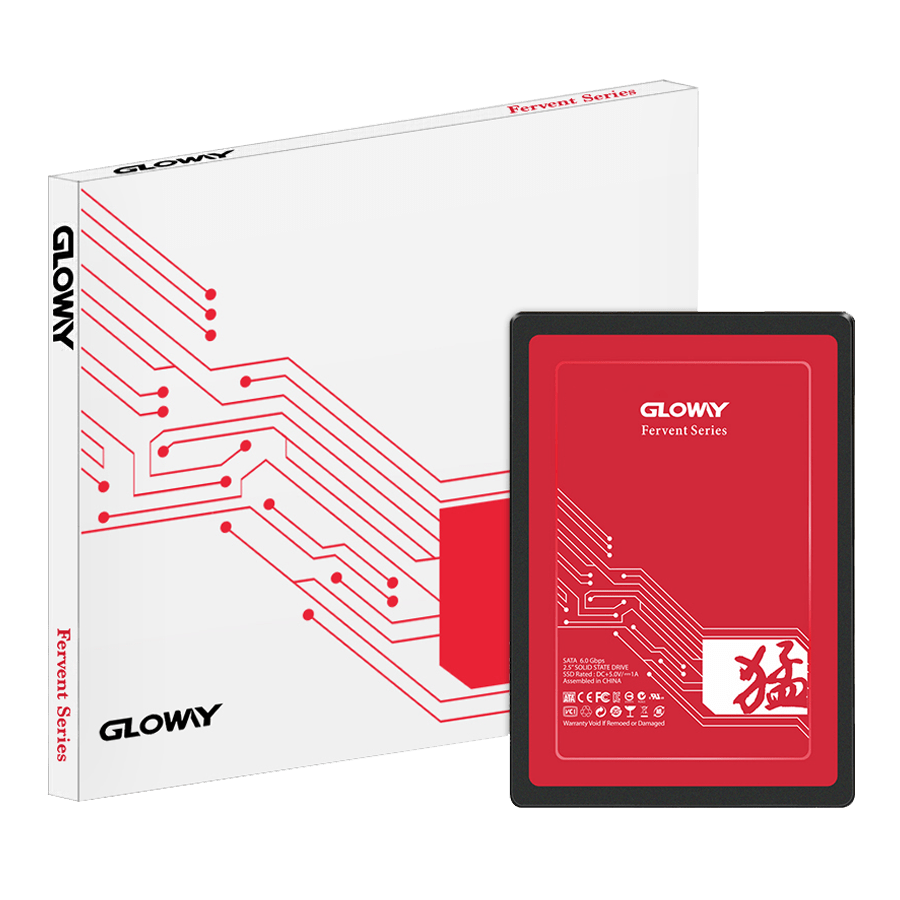 Gloway Fer Series 120 GB SATA SSD — Close-up 3