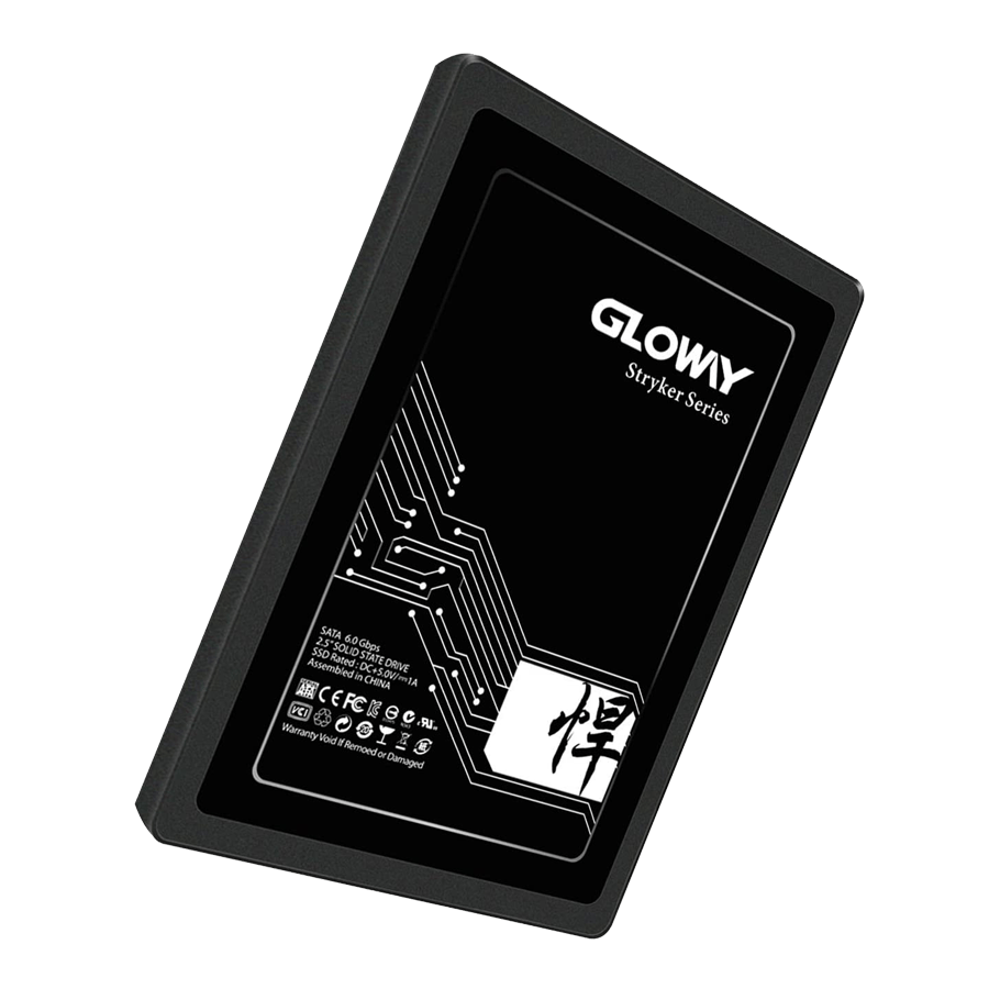 Gloway STK Series 960 GB SATA SSD — Close-up 2
